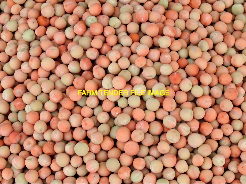Feed Peas for Sale Delivered Grain & Seed Peas For Sale